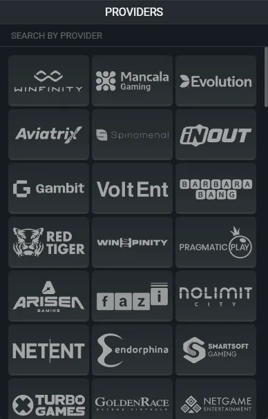 Betwinner Providers Screenshot