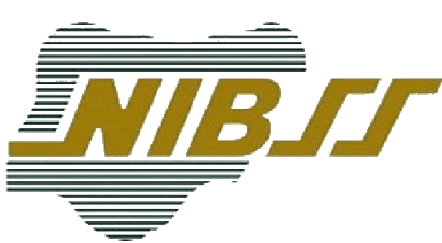 NIBSS Logo