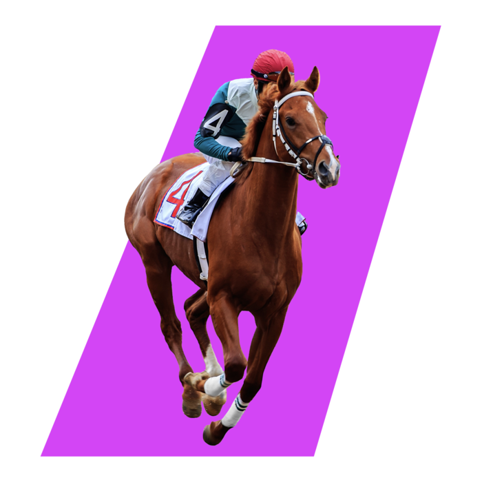 Horse Racing Gambling Nigeria